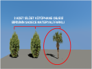 RENDER.PNG