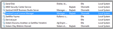 Ekran Alıntısı1.PNG