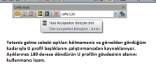aşık2.png