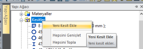 yeni kesit ekle.png