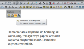 ELEMANLAR ARASI KAPLAMA.png