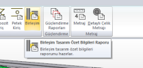 birleşim özet raporu.png