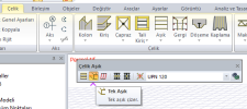 tek aşık.png