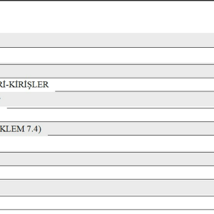 RAPOR SADECE KİRİŞ EKSENEL.png