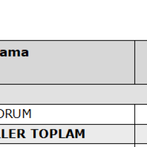 Ekran görüntüsü 2025-10-20 173840.png