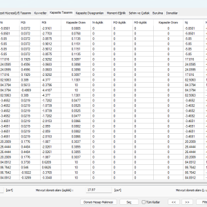 10 kapasite oranı .png