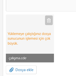 Ekran görüntüsü 2025-12-06 111317.png