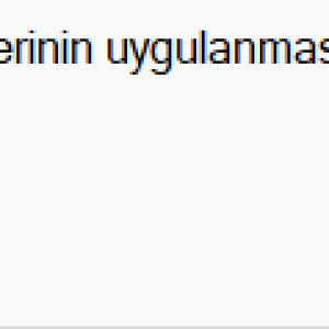 Ekran görüntüsü 2026-02-13 111941.png