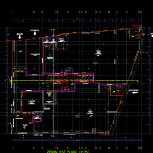 IMG_8208.png