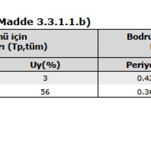 bodrumlu yapı.png