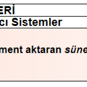 1699448820853.png
