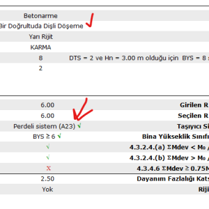 ide-nervür-analiz.png