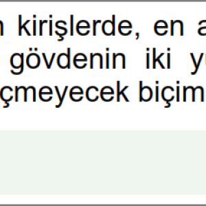 gövde.PNG